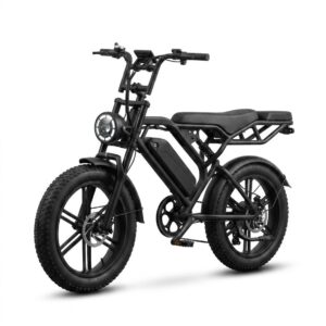 FETTBIKE